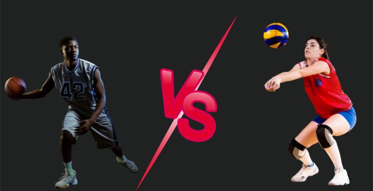 What Is The Difference Between Volleyball Shoes And Basketball Shoes?